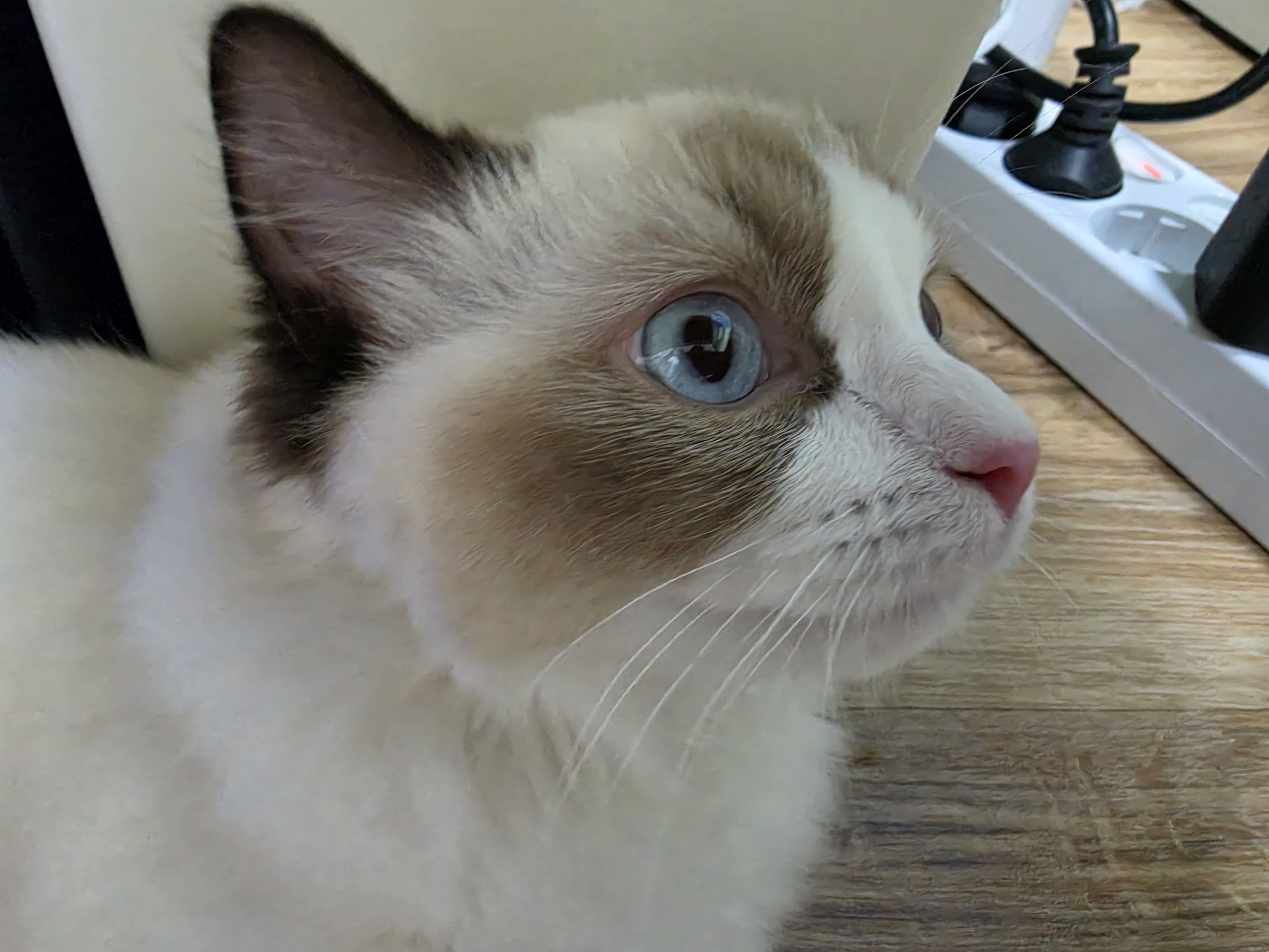 옆모습