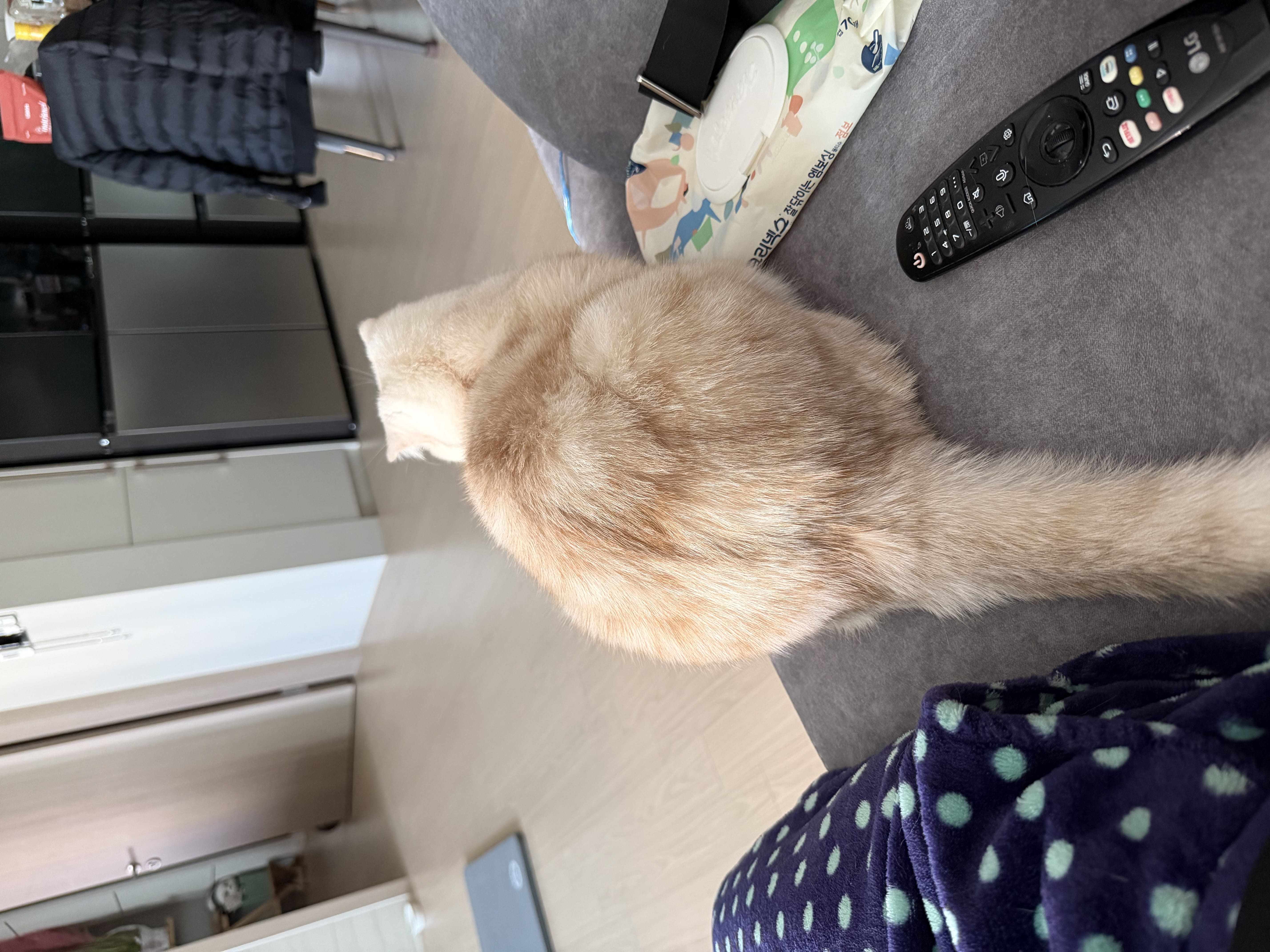 엉덩이