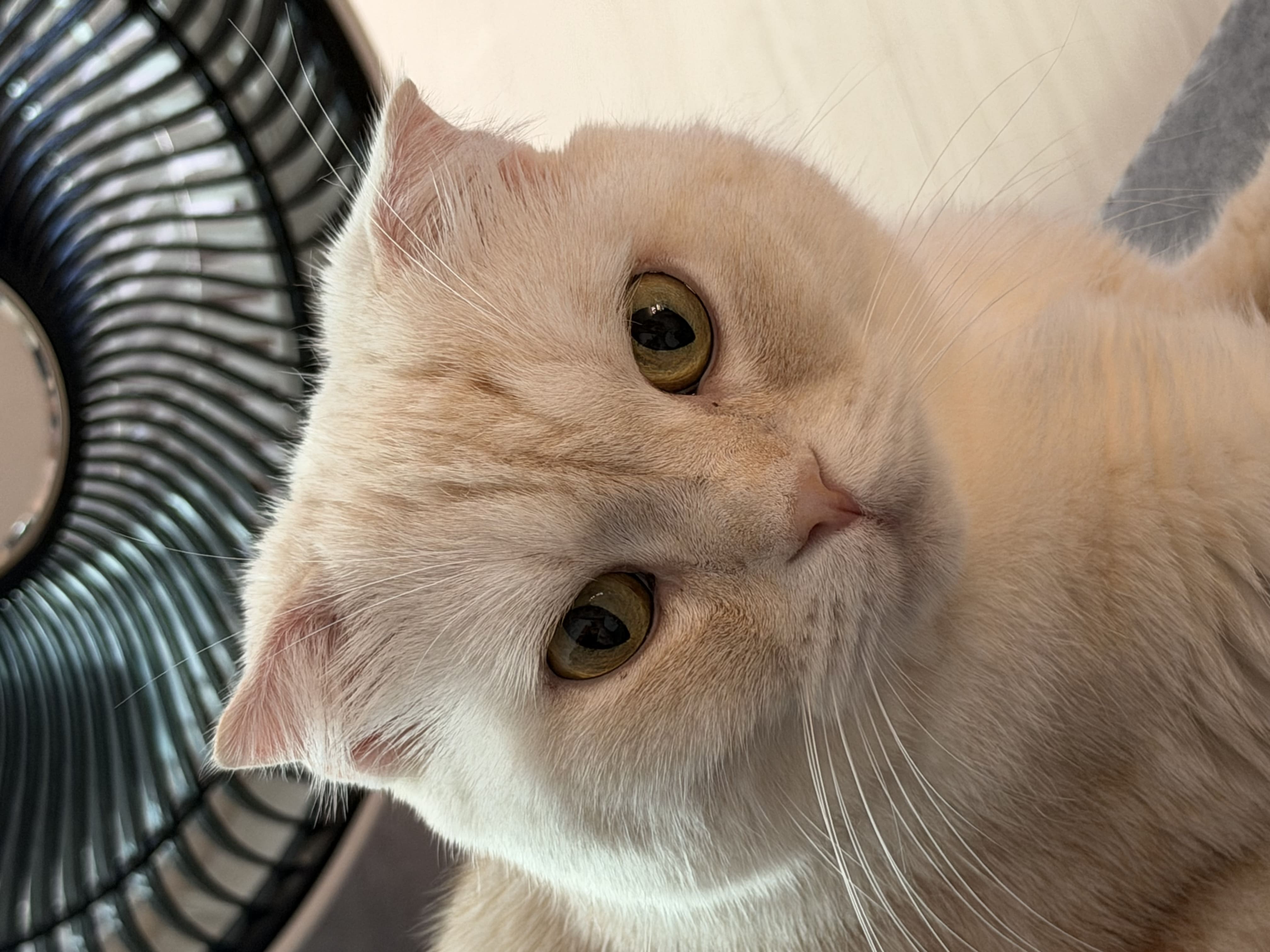 정면샷